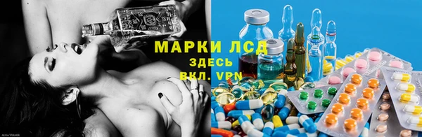 индика Михайловка