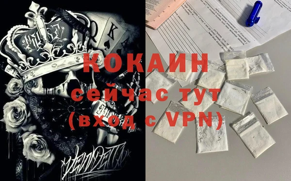 индика Михайлов