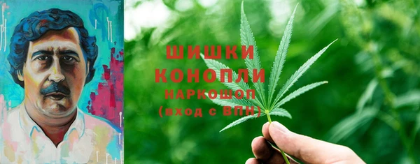 индика Михайлов