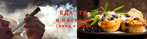 индика Михайловка
