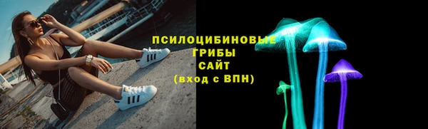 индика Михайловка
