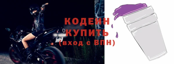 индика Михайлов