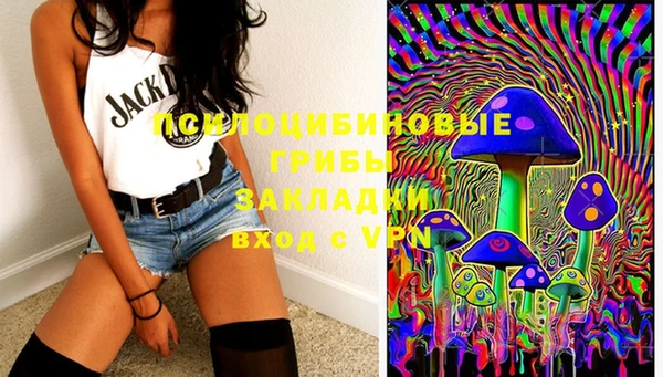 индика Михайловка