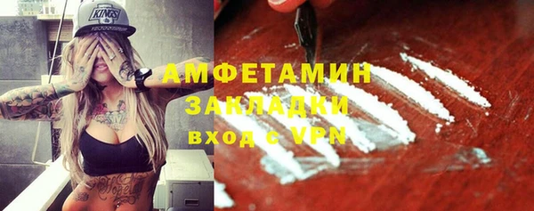 индика Михайлов
