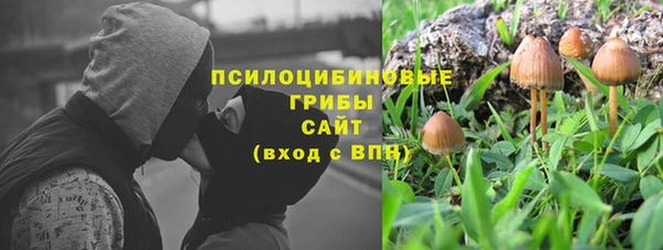 индика Михайлов