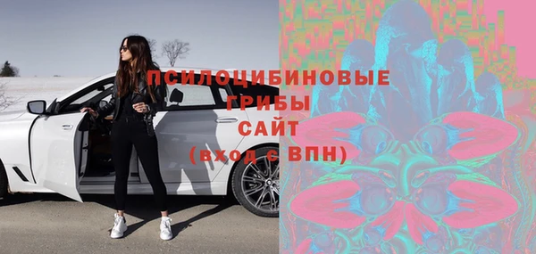 индика Михайлов