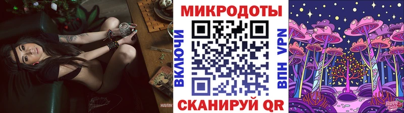 kraken зеркало Галич площадка какой сайт Галлюциногенные грибы мицелий